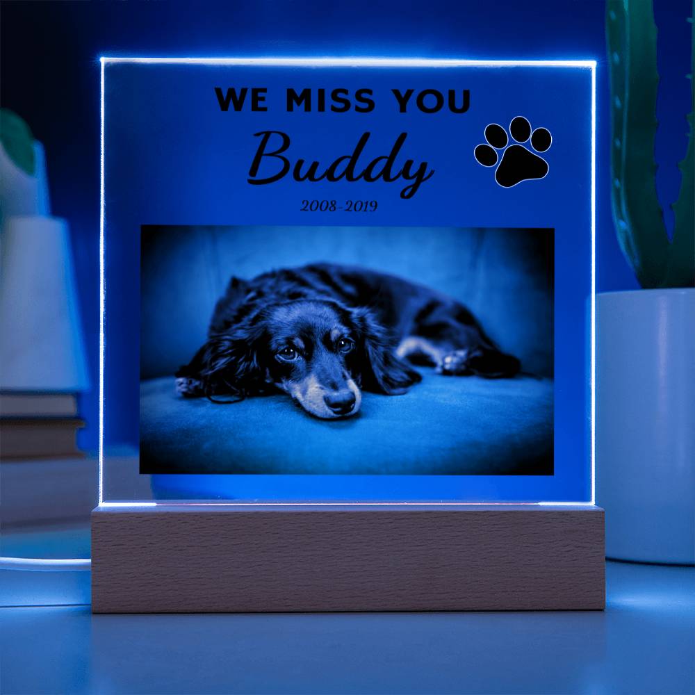 We Miss You Custom Pet Memorial Acrylic Plaque Curious Draft