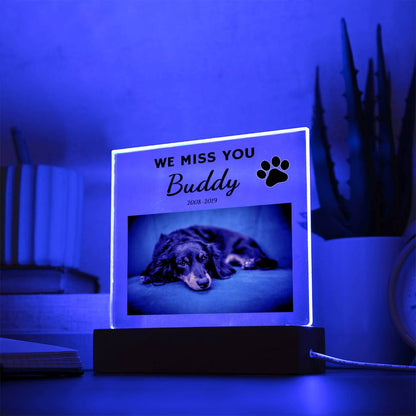 We Miss You Custom Pet Memorial Acrylic Plaque Curious Draft